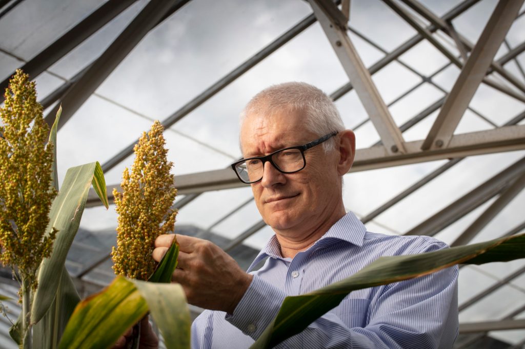 Thumbnail for Licence to till: Farmers use innovation, research to form new bond with consumers