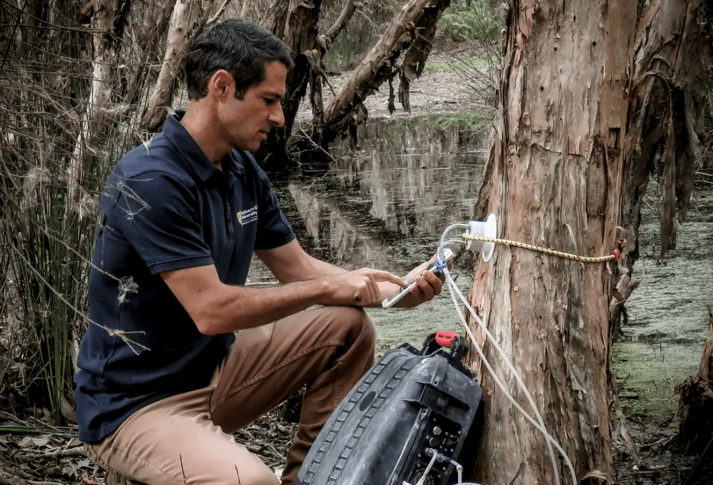 Thumbnail for Uni researchers find methane theory may be barking up wrong tree