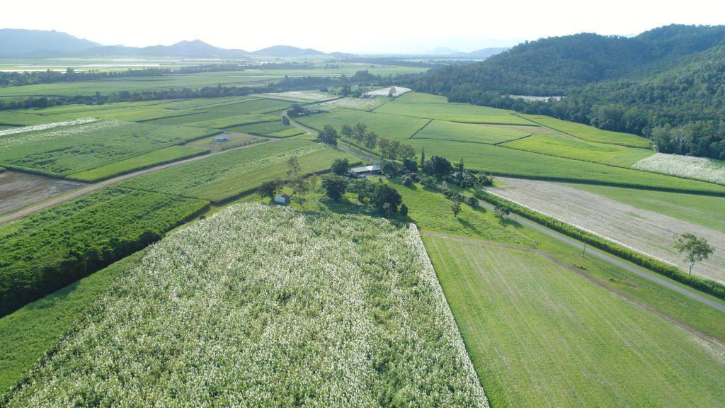 Thumbnail for Rate rage: How Bundaberg sparked land value firestorm