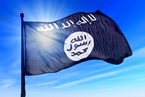 Thumbnail for Move to ban extremist flags and insignia ‘overkill’: Law Council