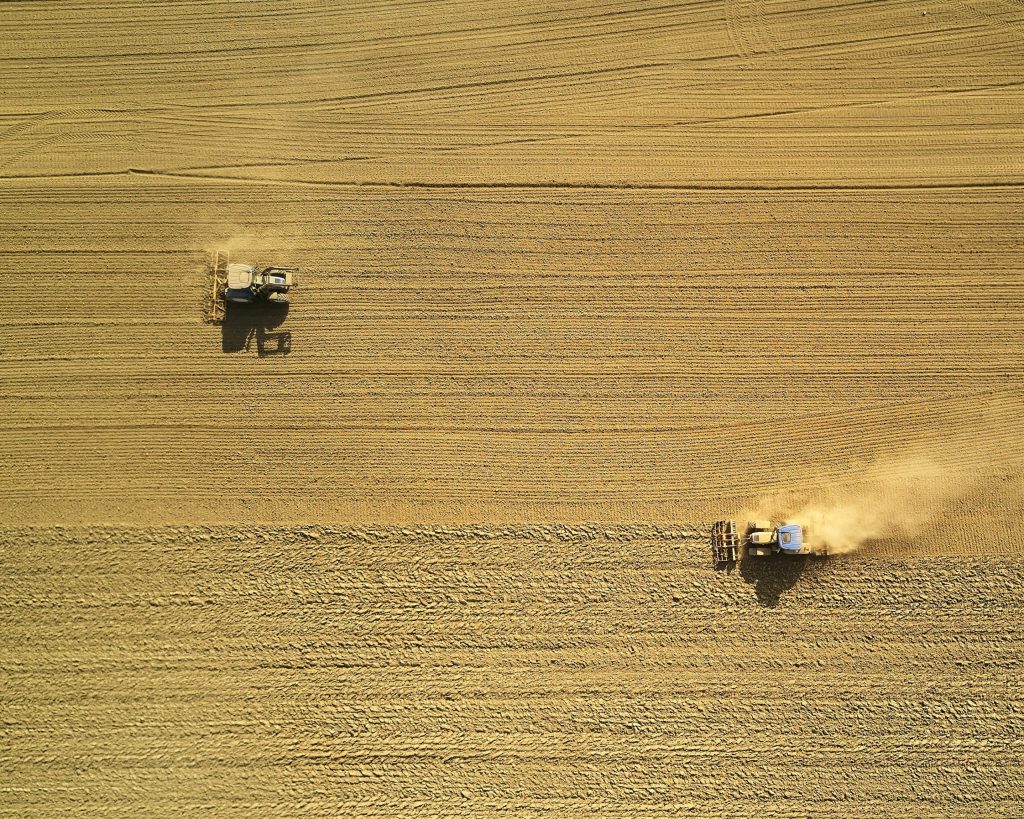 ABARES says Australia is headed for a record winter crop production despite some destructive weather. (File image)