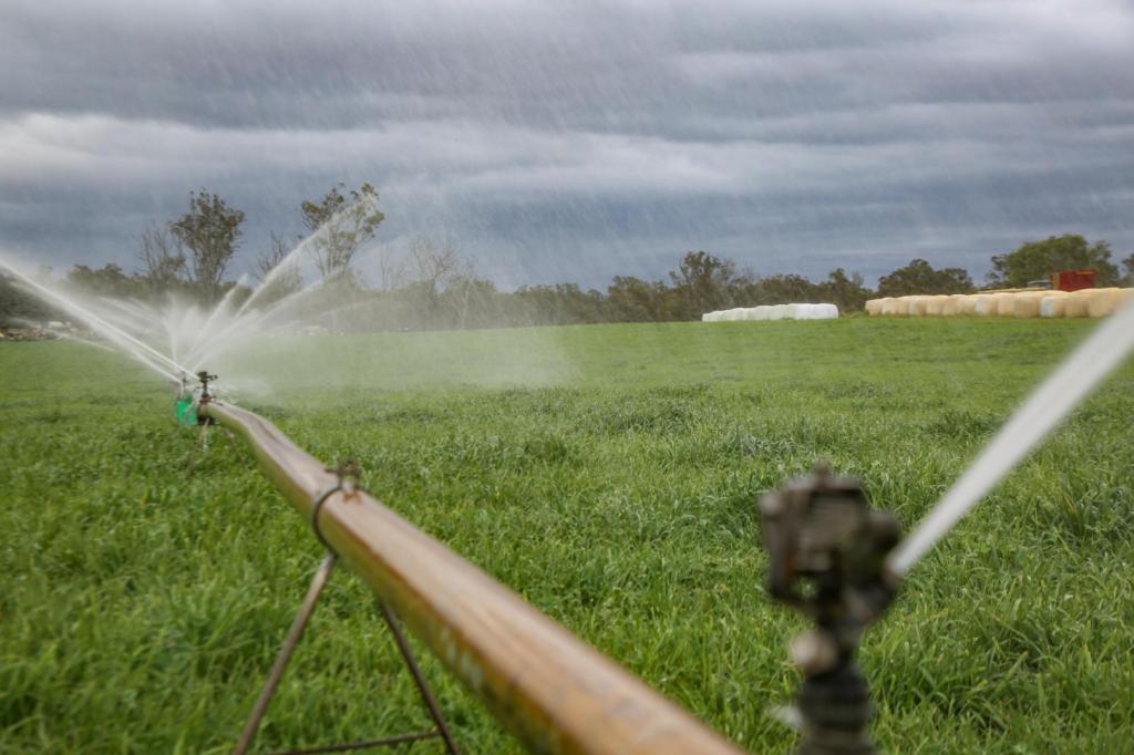 Thumbnail for Recycled water back in the pipeline in new push for Wivenhoe water grid