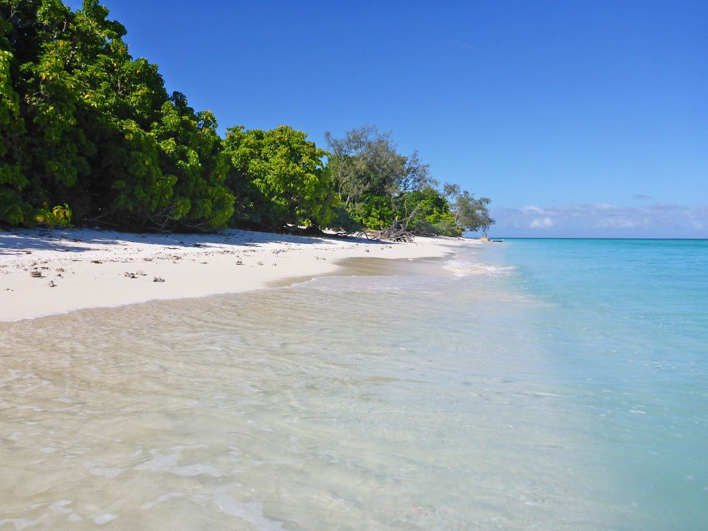 Thumbnail for New rules for island reef where shark fatally attacked park ranger