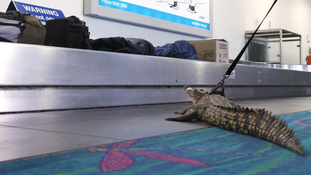 Thumbnail for Sniffer crocs, drone dogs and bin chickens: Police, Lord Mayor turn April Fool’s Day pranksters
