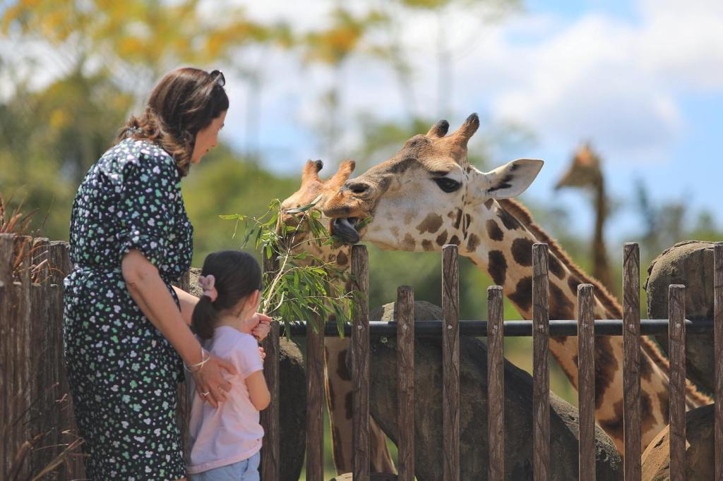 Thumbnail for Zoos take steps to ensure animals are safe from foot and mouth