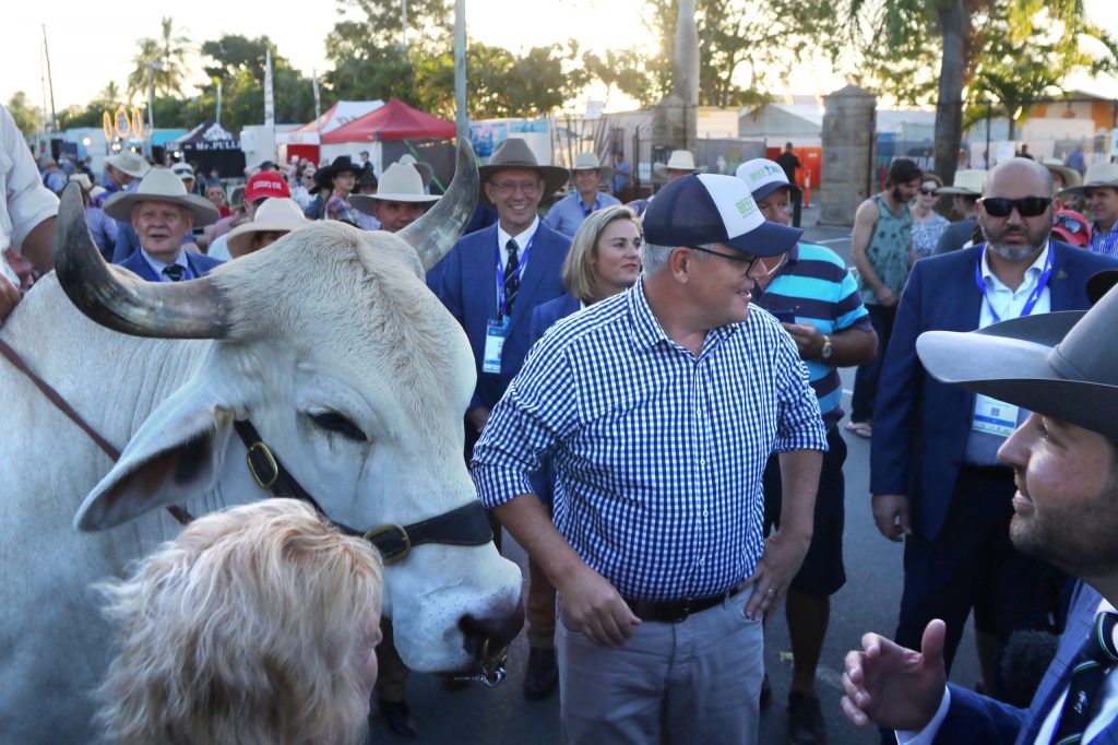 Thumbnail for Meat and greet: Morrison’s Rocky visit will mean big boost for biosecurity
