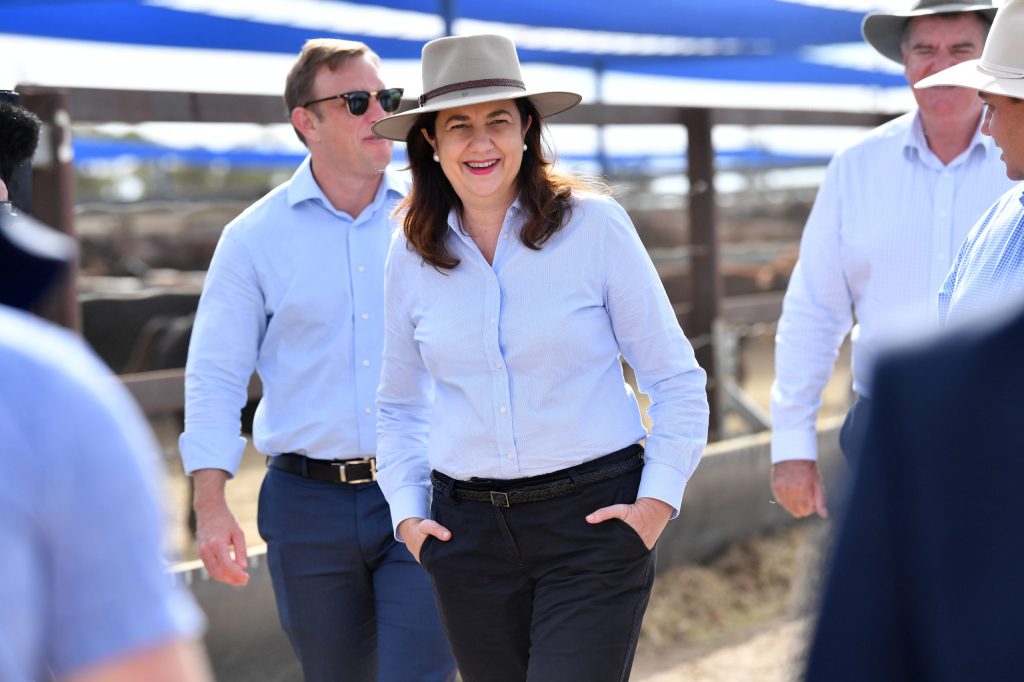 Thumbnail for It’s not easy being green: Beef industry plots difficult course as new eco warrior