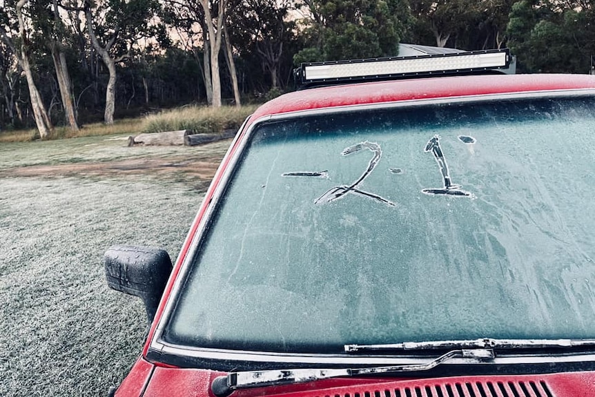 Thumbnail for Sub-zero: South East shivers as Stanthorpe records coldest day in three years
