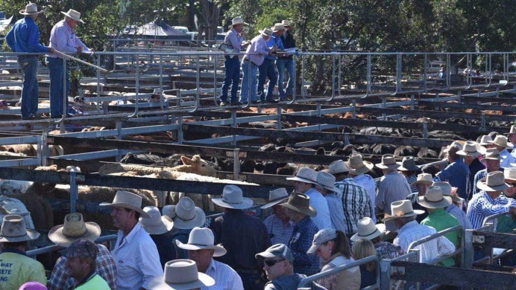 Thumbnail for The rain on the plains led to big economic gains – as well as a few pains