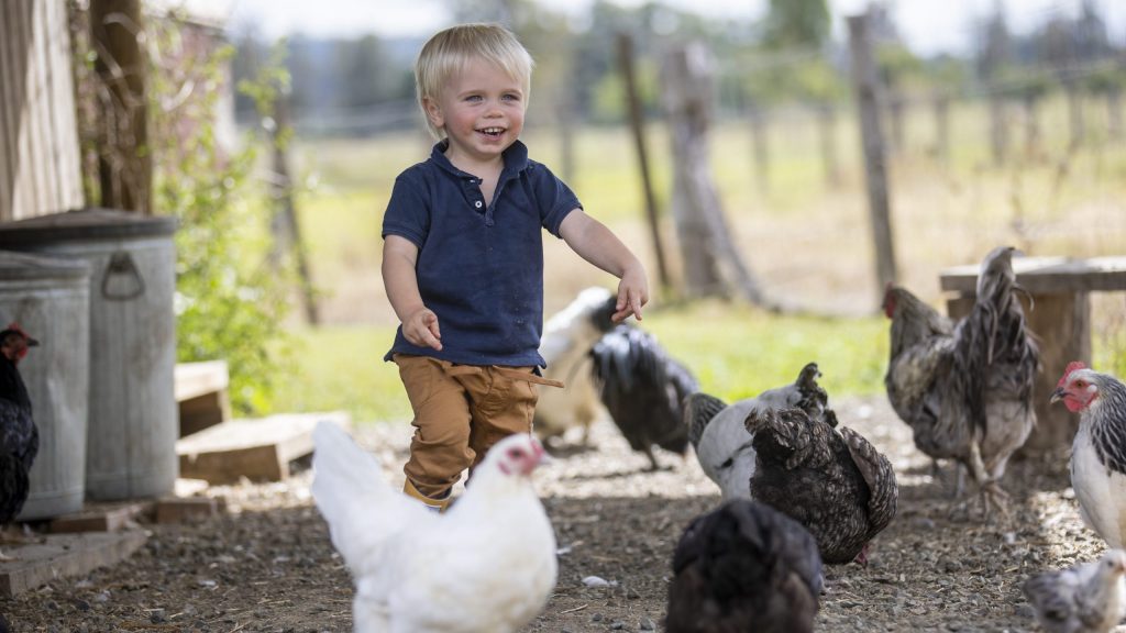 The Scenic Rim region wants to expand its local farmstay industry. (Suppled image)