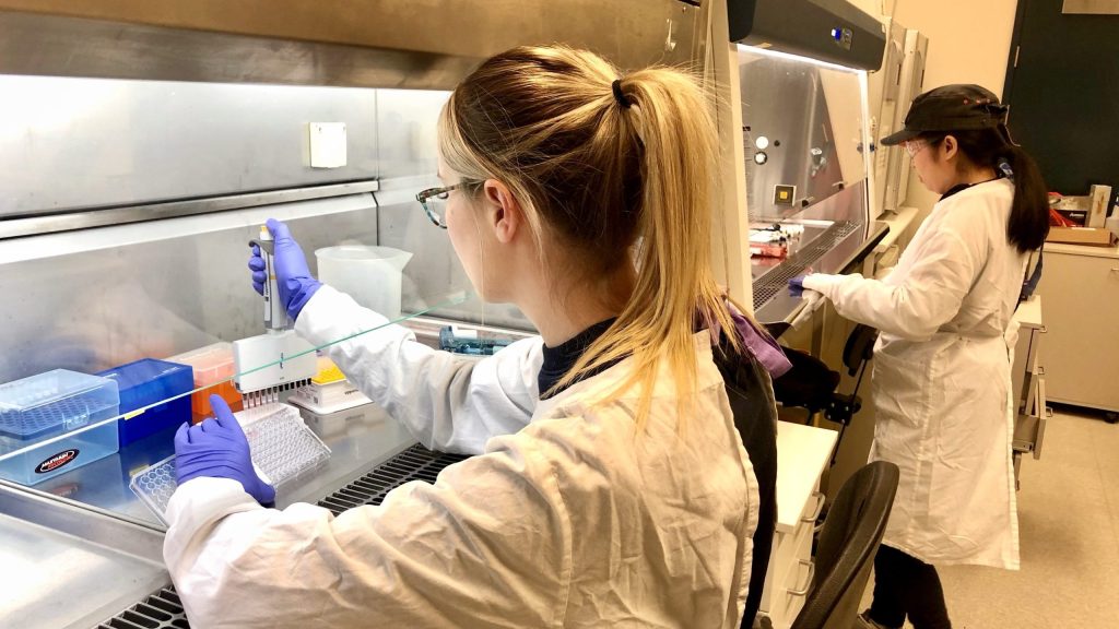 Thumbnail for Double shot: Queensland researchers say new drug can prevent, contain virus