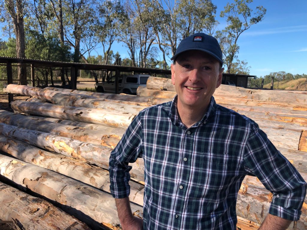 Thumbnail for Logged out: Queensland’s timber shortage as inaction sends supplies crashing