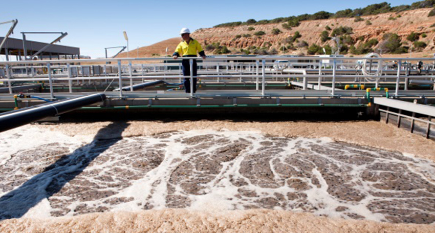 Thumbnail for Innovation pipeline: Wastewater surveillance flushed with success