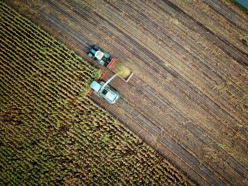 Thumbnail for Workers, equipment and sensible investments to benefit the agriculture sector