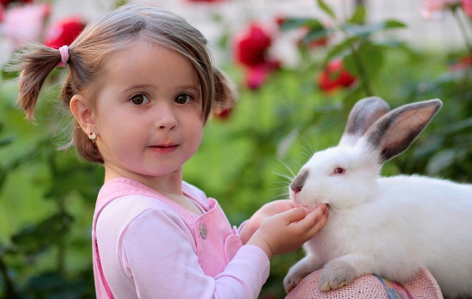 Thumbnail for Zoo tax: Cash hungry government turns to bunnies to make money