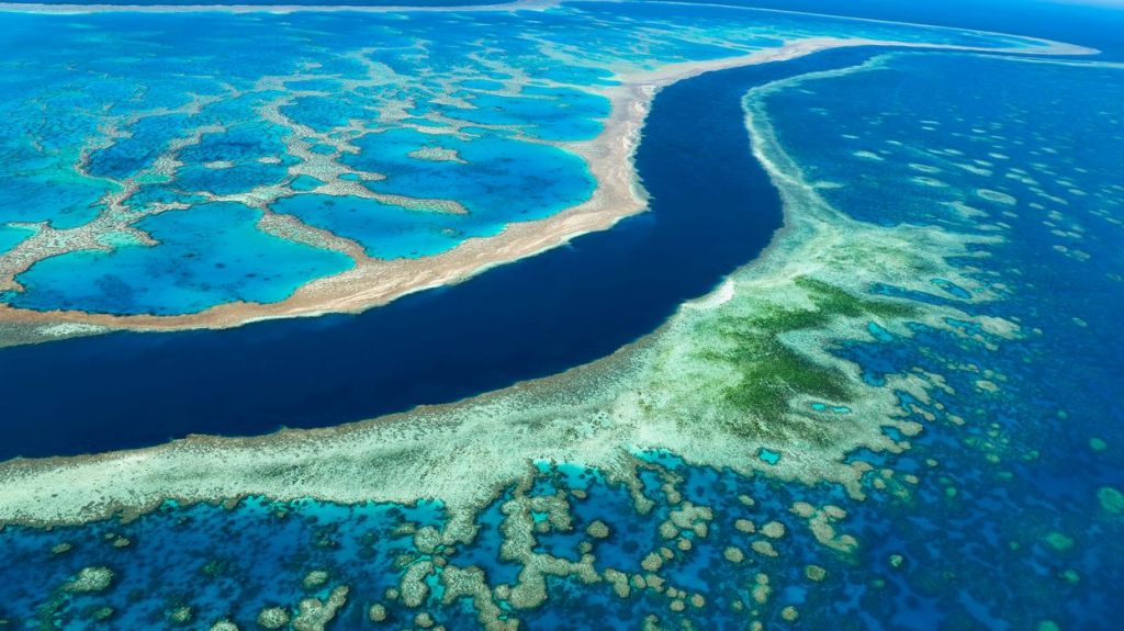 Thumbnail for Government to challenge UN listing of Great Barrier Reef as ‘in danger’