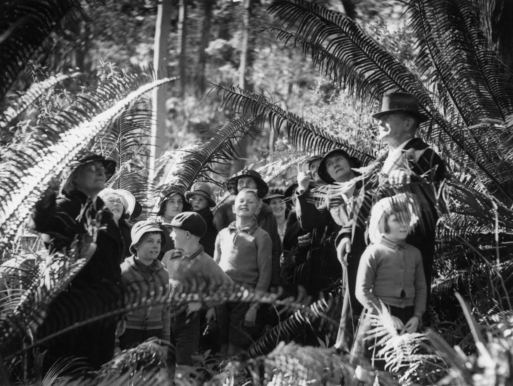 School excursion on Mount Tamborine, 1935. (Image: State Library of Queensland)