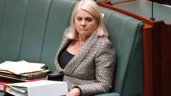 Thumbnail for Waiting for texts and midnight phone calls: Gold Coast MP reveals family’s DV terror