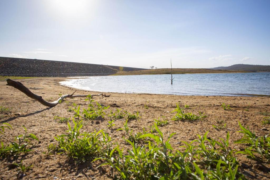 Thumbnail for Climate change behind plan for longer household restrictions
