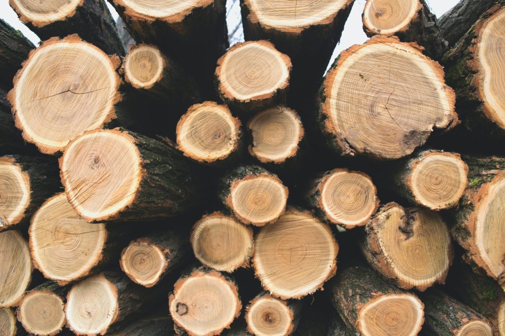 Thumbnail for Palaszczuk finally nails down her panel to tackle timber crisis