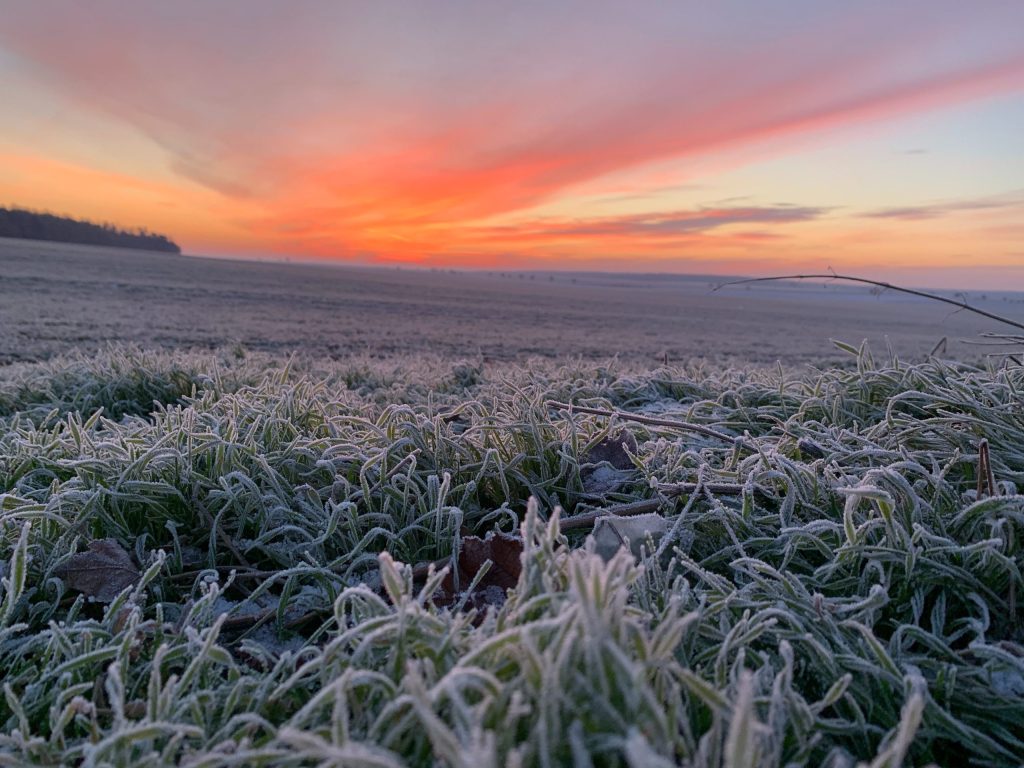 Thumbnail for Sunshine state set to shiver as icy blast rolls in from the south
