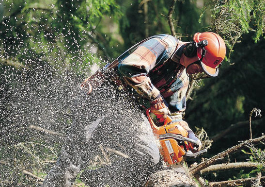 A Brisbane man faces assault charges after allegedly attacking a neighbour with an electric chainsaw (File image).