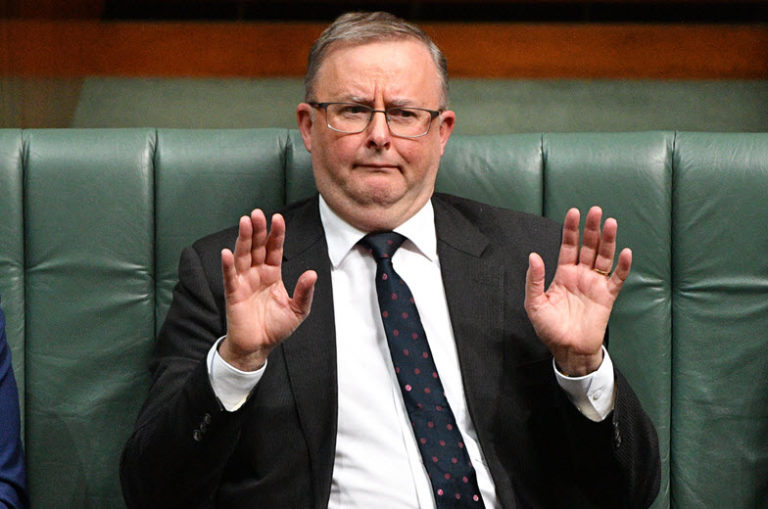 No sooner has Opposition Leader Anthony Albanese memorised the unemployment rate than it's set to change again. (photo: AAP)