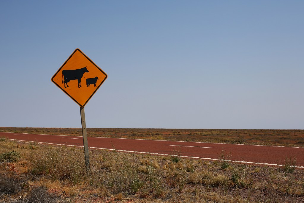 Thumbnail for Signs are good, but how long can Qld ag land prices keep increasing?