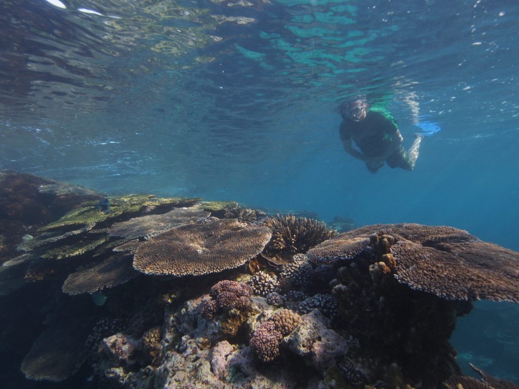 Thumbnail for Griffith research aims to protect future of our coastal habitats