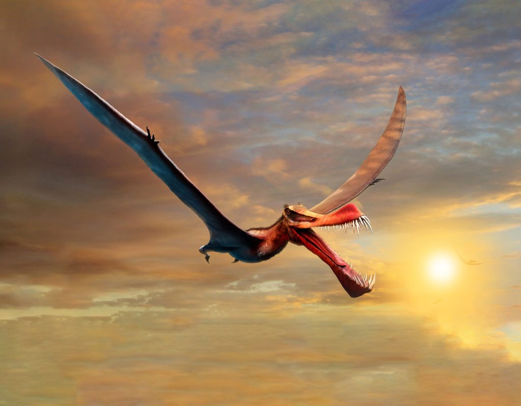 An artist's impression of Thapunngaka shawi, Australia's newest dinosaur from Richmond in north-west Queensland.