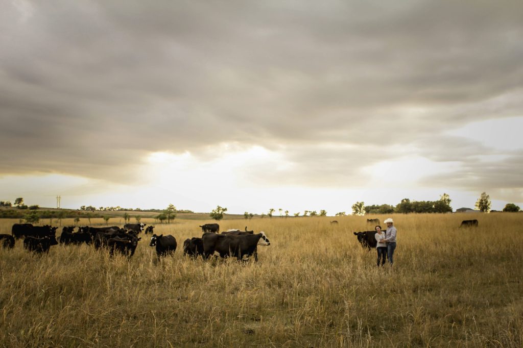 Thumbnail for Preparing for a rural property renaissance as farming hits purple patch