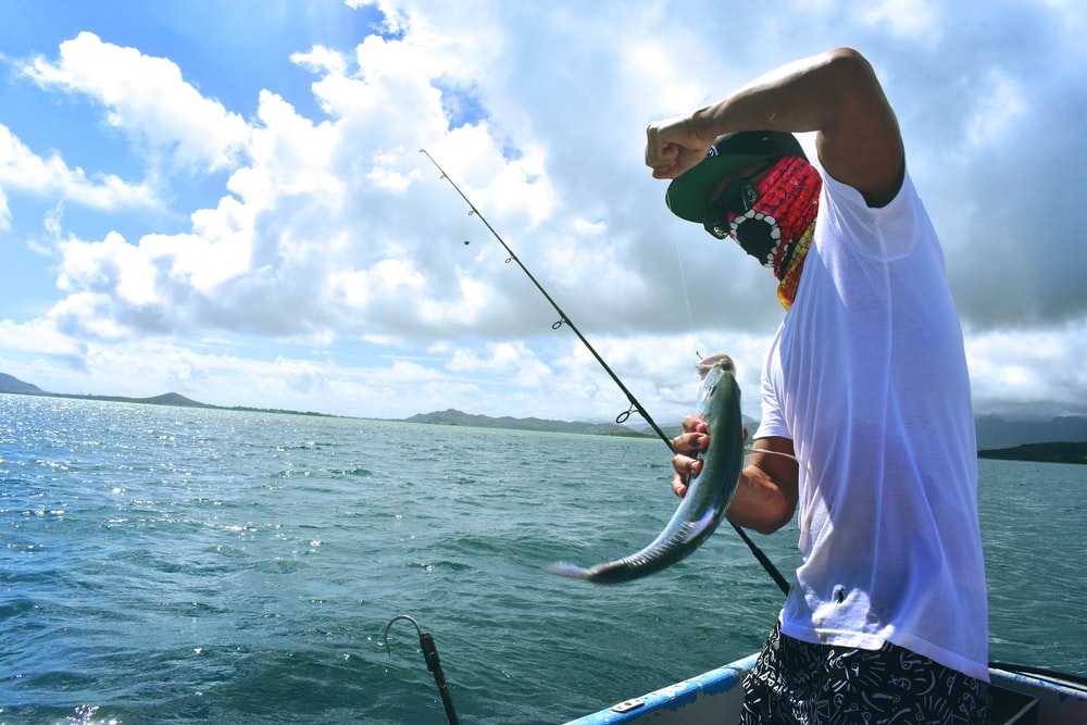 Thumbnail for Gone fishing: How lifestyle, leisure and fast food chains have cashed in on Covid