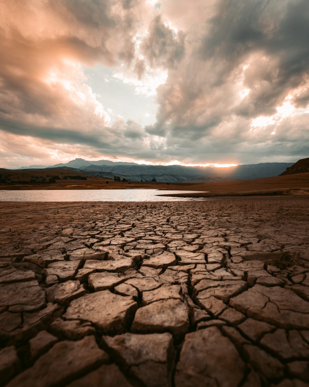 Thumbnail for Quick as a flash: Why a new type of drought has put scientists on dry alert
