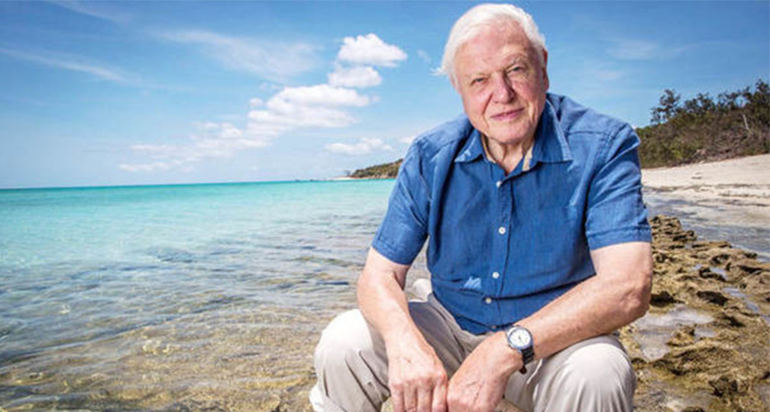 Thumbnail for Dial C for climate crisis – but unless we answer the call, even Sir David can’t save us