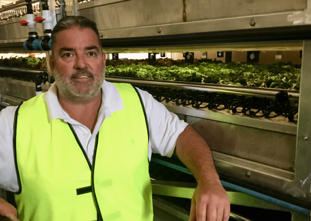 Thumbnail for Vertical farm looks for seed capital to take off