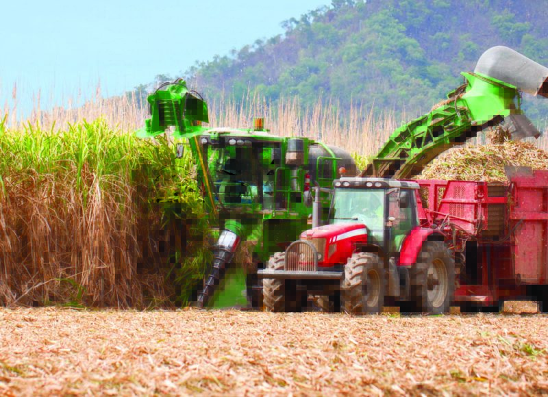 Thumbnail for Aussie farmers’ confidence boost over ‘near perfect’ conditions
