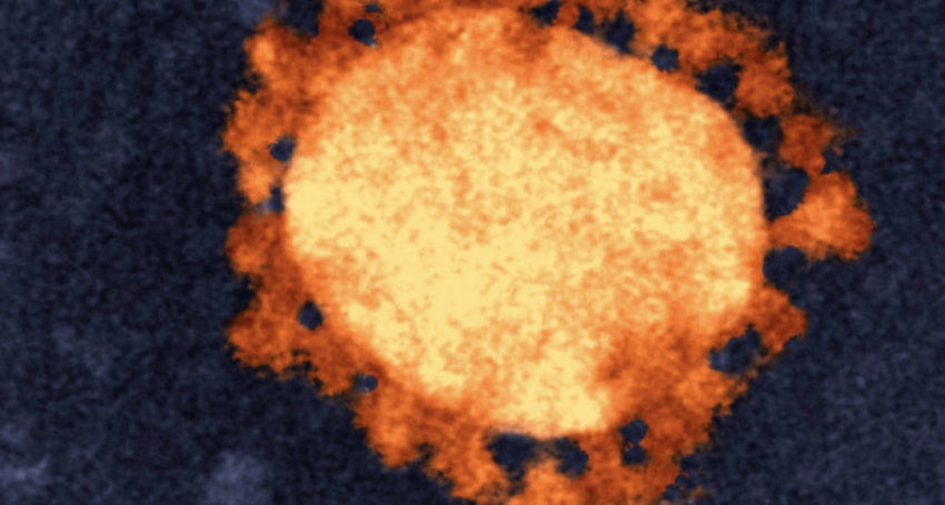 Thumbnail for What we know today, March 4 – virus latest at a glance