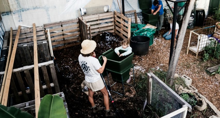 Thumbnail for Organic economy gets a wriggle-on from compost industry boom
