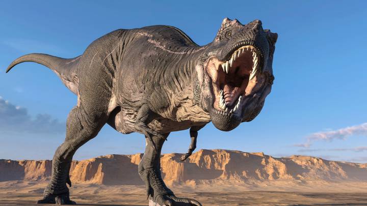 Thumbnail for Go fetch, T-Rex: Researchers find dinosaurs wagged their tails