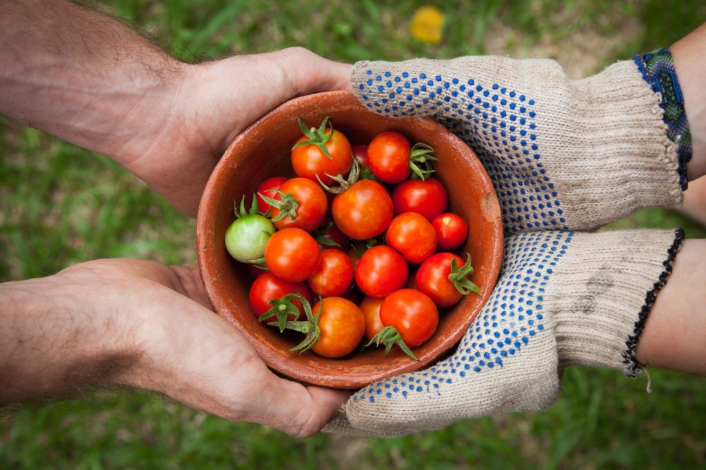 Thumbnail for CSIRO’s grand plan to weed out Aussie food fakes, future-proof agricultural sector