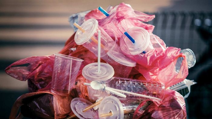 Thumbnail for Today’s the final straw: Queensland’s ban on single-use plastics begins