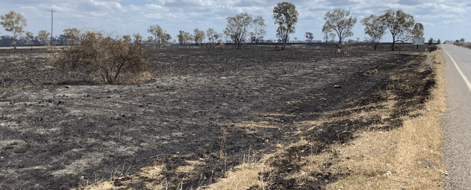 The aftermath of a bushfire police allege was caused by fireworks thrown from a vehicle. Image: QPS