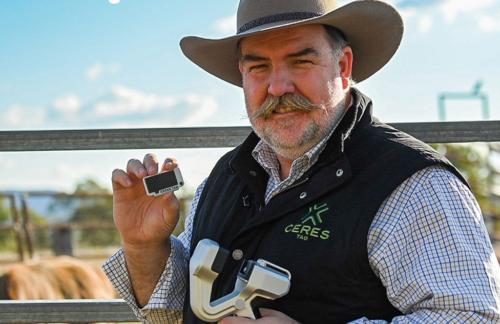 Thumbnail for Why Queensland’s exporters are more important now than they’ve ever been