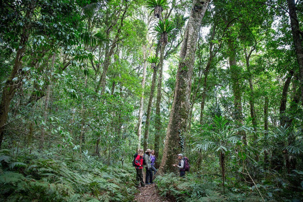 Thumbnail for What took you so long? Global travel bible falls for Scenic Rim’s charms
