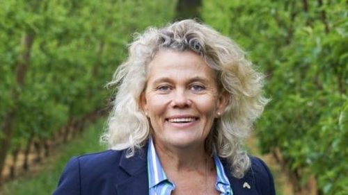 National Farmers' Federation boss Fiona Simson (Photo: National Press Club).