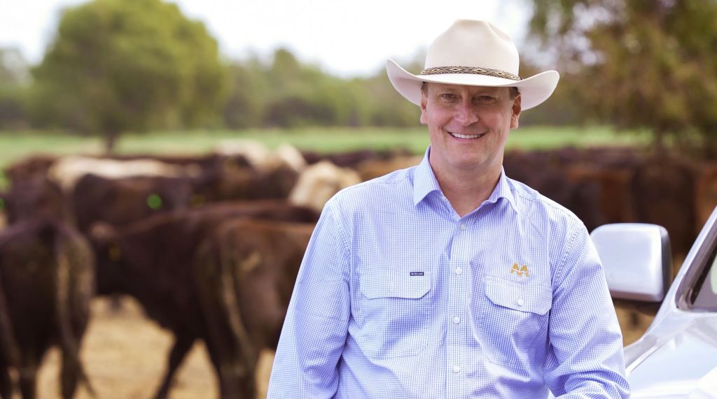 Thumbnail for AACo bounces back as Americans look for better steaks