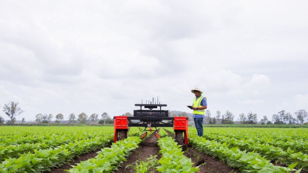 Australia's agriculture exports are set to top a record $80 billion.(file image)
