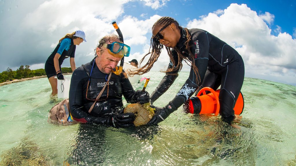 Thumbnail for Green bonds: How the markets may turn out to be Great Barrier Reef’s saviour