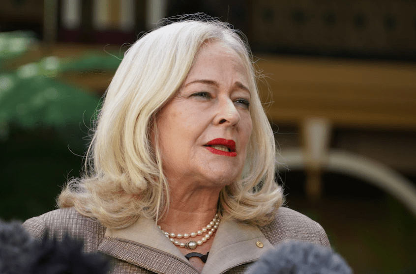 Thumbnail for Domestic violence inquiry to put police responses under the microscope