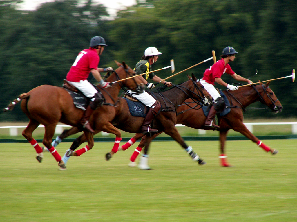 Thumbnail for Let’s not start a class war, but must we spend millions on wagyu and polo ponies?